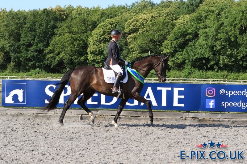 Dressage At Speedgate Speedgate Blog