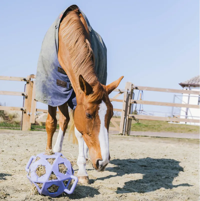 Kentucky Relax Horse Play and Hall Ball Lavender Large-1