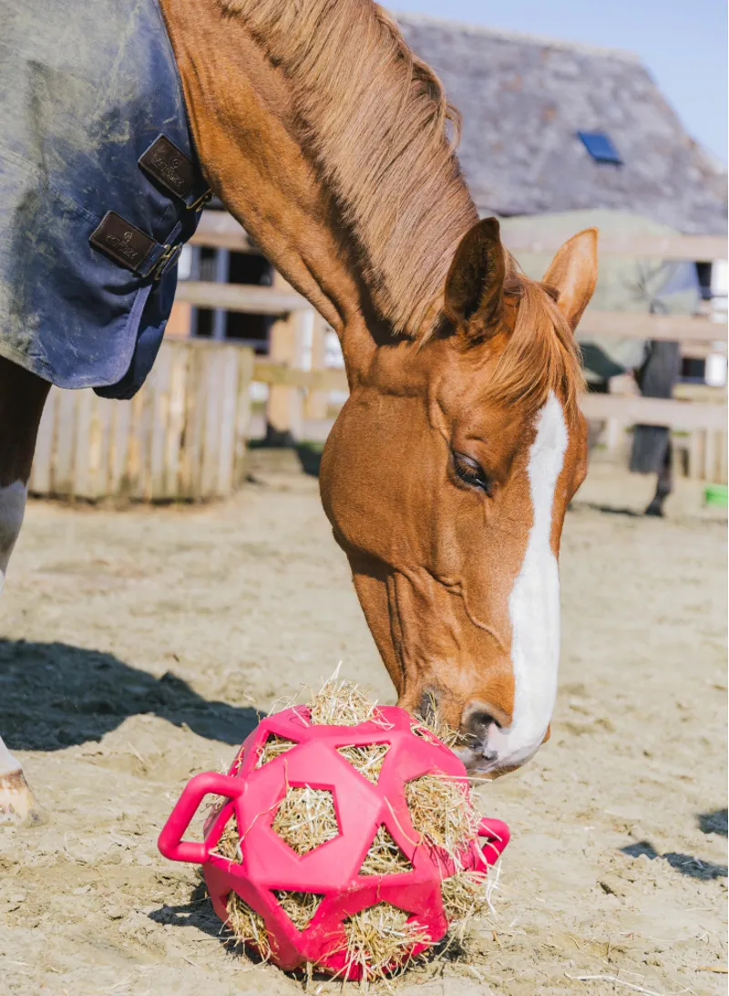 Kentucky Relax Horse Play and Hall Ball Pink Large-1