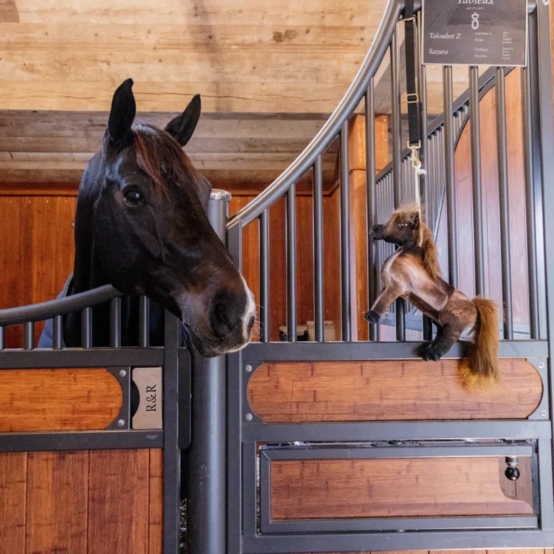 Kentucky Relax Horse Toy Tableux-1