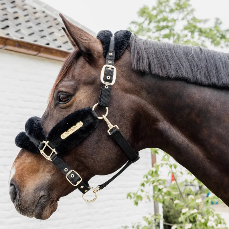 Kentucky Sheepskin Nylon Head Collar Soft Black-1