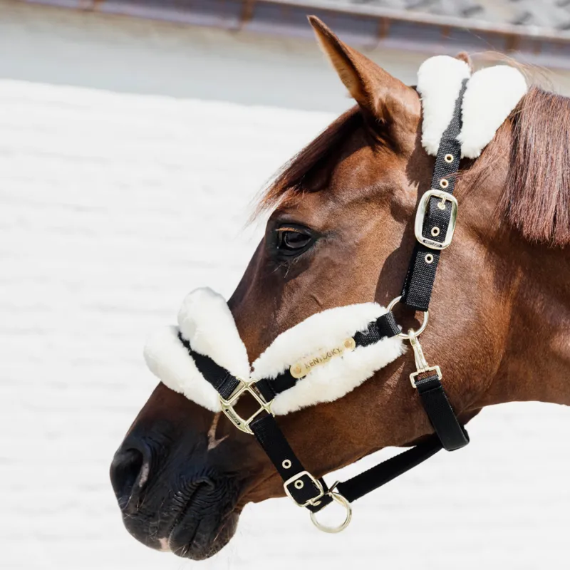 Kentucky Sheepskin Nylon Head Collar Soft Natural-1