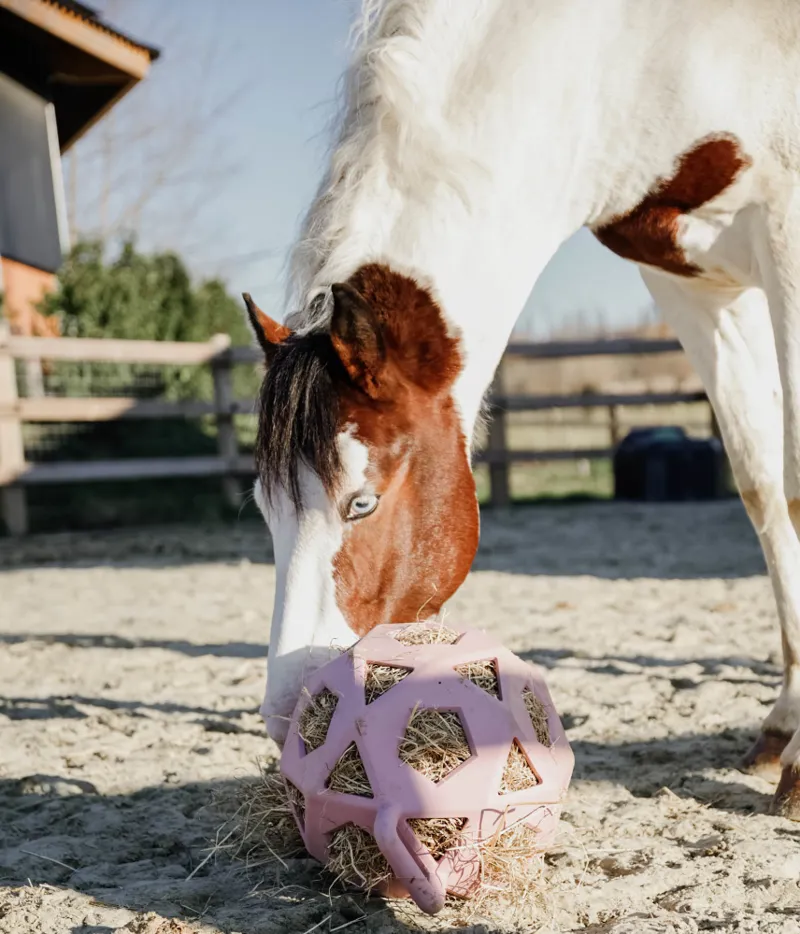 Kentucky Relax Horse Play and Hall Ball Old Rose Large-1