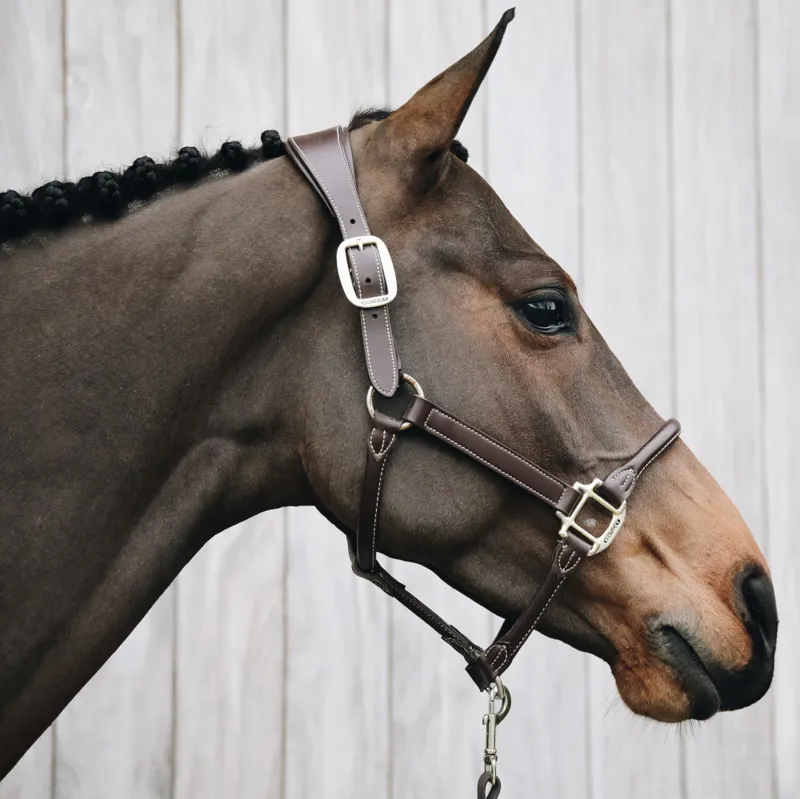 Kentucky Anatomic Leather Head Collar Brown-1