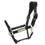Kentucky Anatomic Leather Head Collar Black