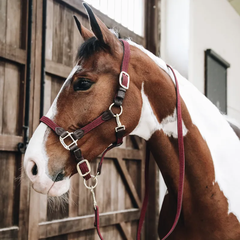 Kentucky Plaited Nylon Head Collar Bordeaux-1