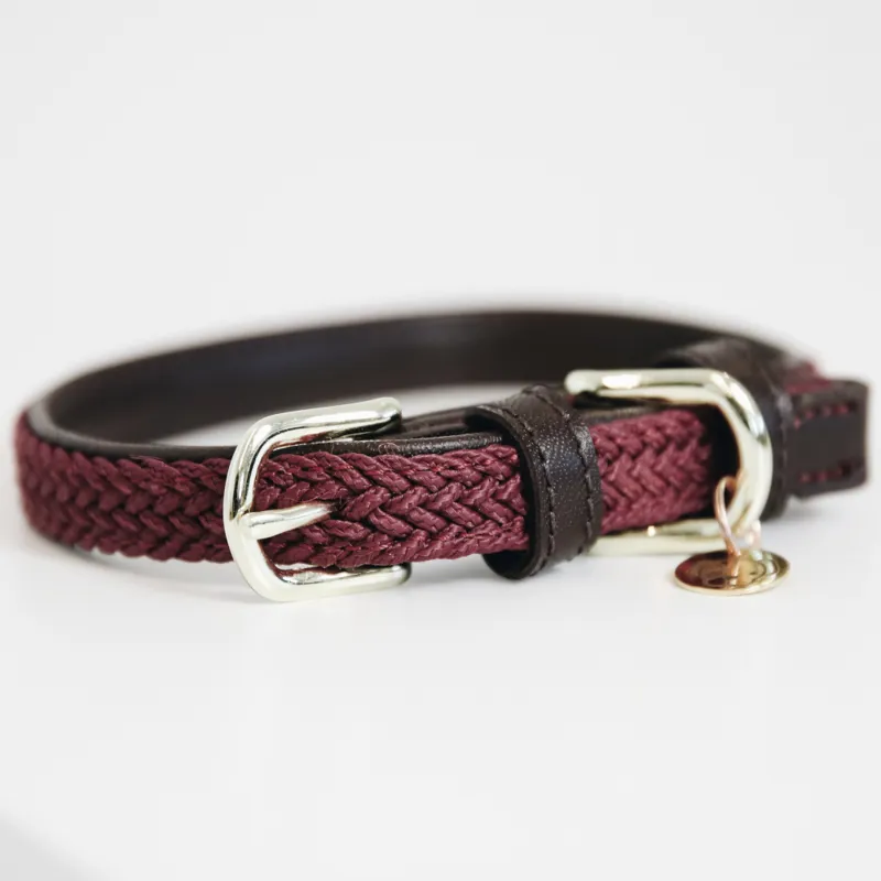 Kentucky Plaited Nylon Dog Collar Bordeaux