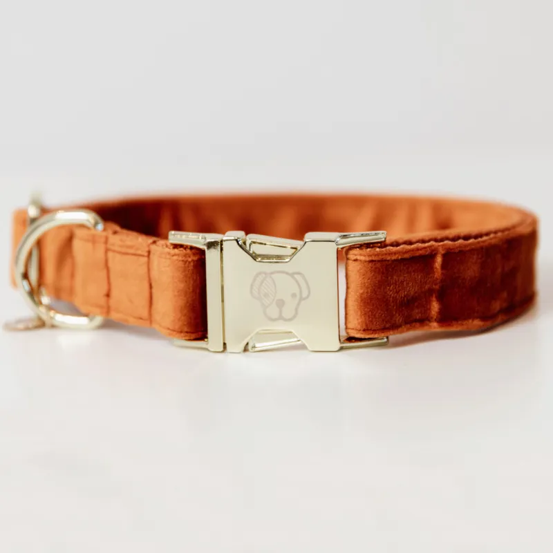 Kentucky Velvet Dog Collar Orange