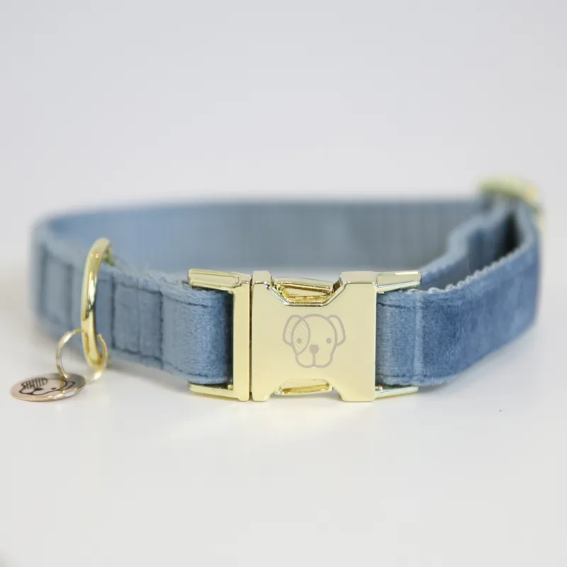 Kentucky Velvet Dog Collar Light Blue