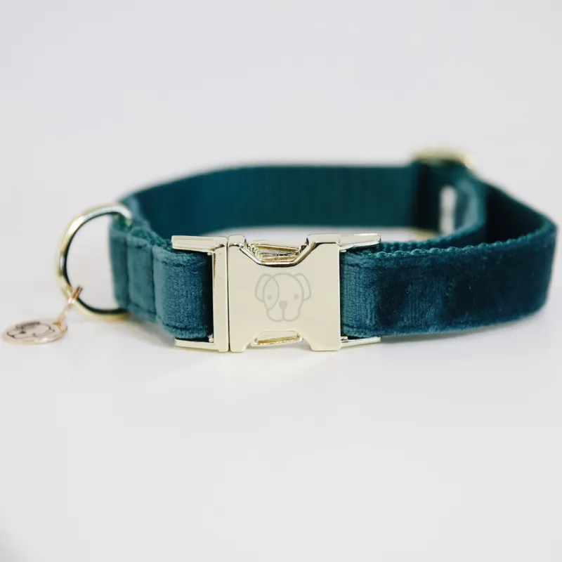 Kentucky Velvet Dog Collar Emerald