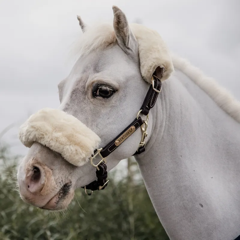 Kentucky Sheepskin Leather Head Collar-1