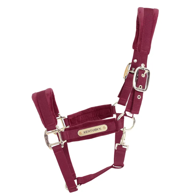 Kentucky Plaited Nylon Head Collar Bordeaux