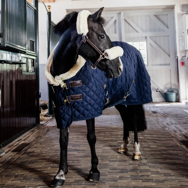 Kentucky Show Rug Navy 160g