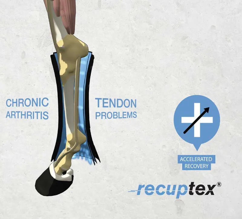 Kentucky Magnetic Stable Bandage Pad Recptex-2