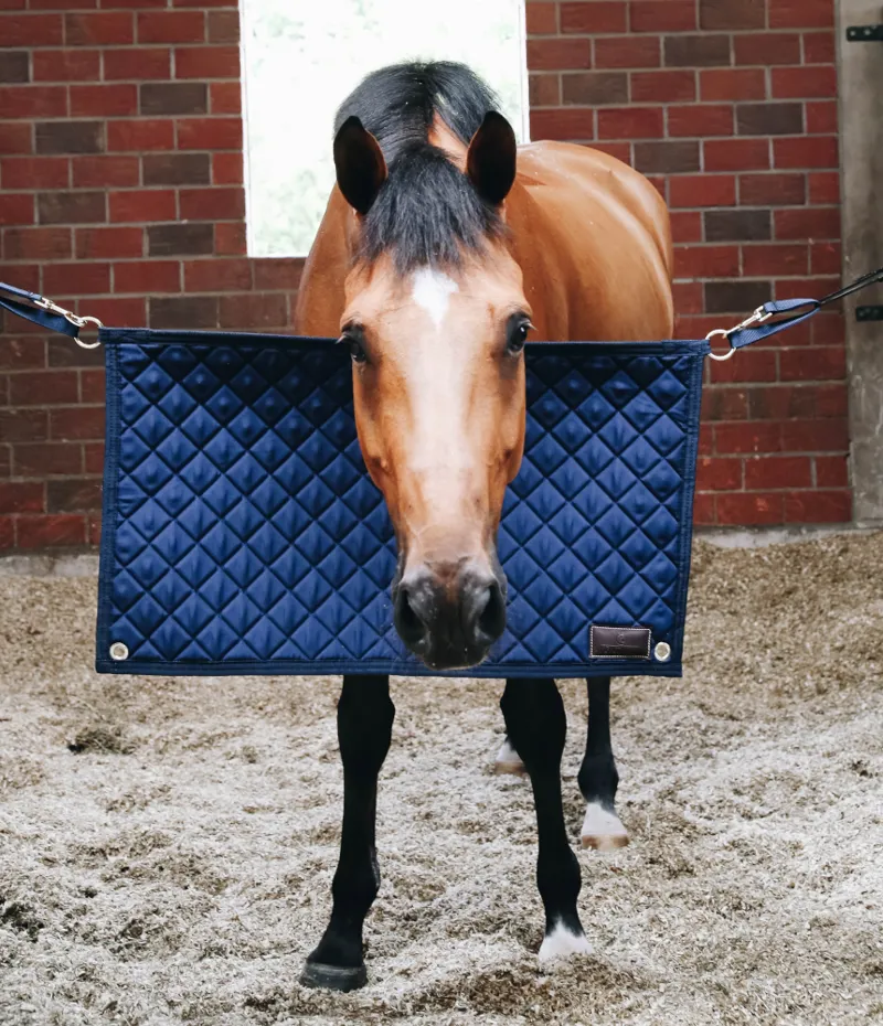 Kentucky Stable Guard Navy-1