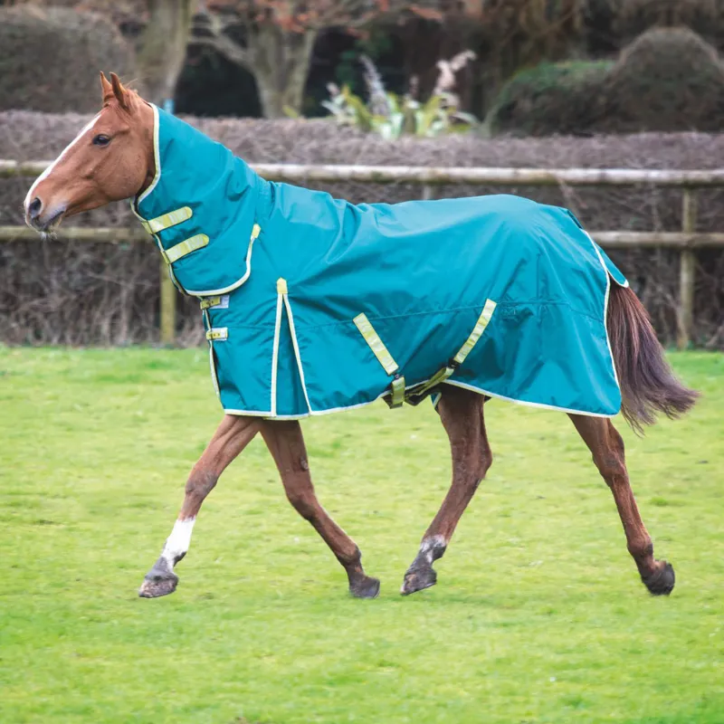 Bridleway Ontario 100g Combo Turnout Green