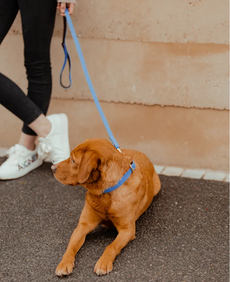 Kentucky Plaited Nylon Dog Lead Light Blue 120cm-1