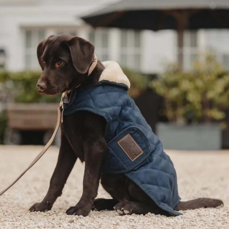 Kentucky Plaited Nylon Dog Lead Beige 120cm-1