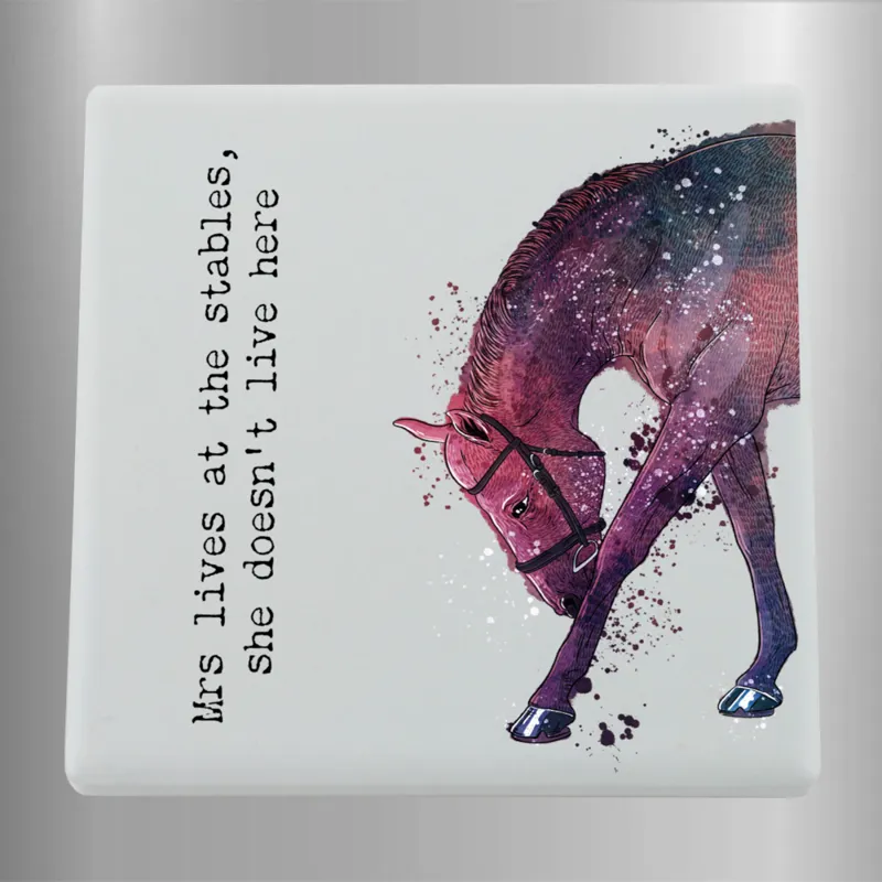 Ceramic Magnet - Lives At The Stables