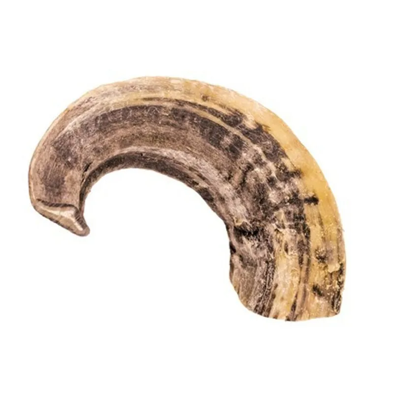 Doodles Deli Air Dried Ram Horn 1kg