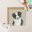 Lil Wabbit Dog Card - Kai