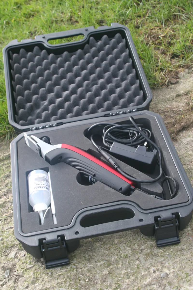 Liveryman Black Beauty - Mains-1