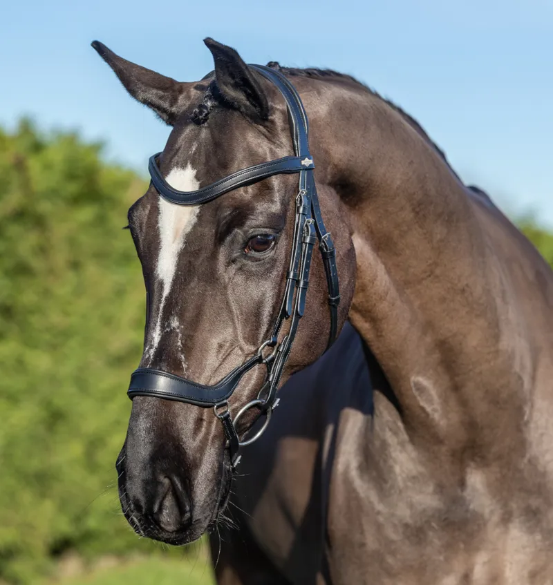 LeMieux Arika Drop Bridle Black/Silver-1