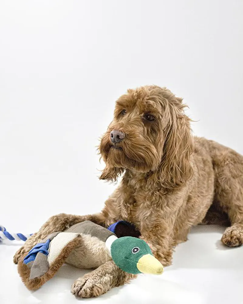 Joules Plush Printed Blue Duck Dog Toy-1