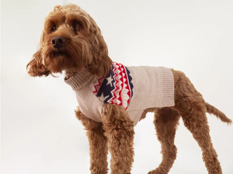 Joules Fairisle Dog Jumper-3