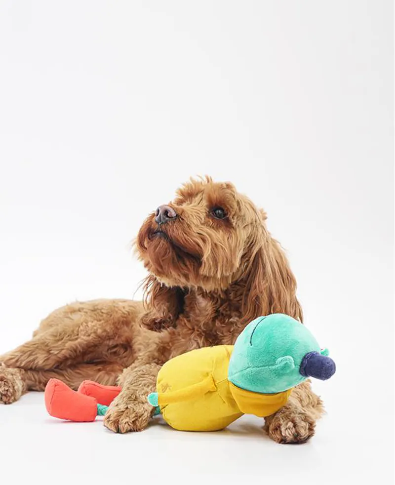 Joules Frog Dog Toy-1