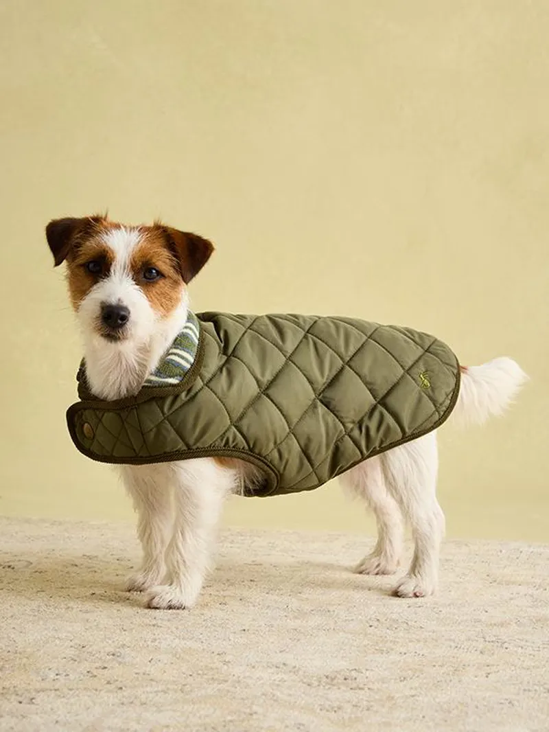 Joules Khaki Quilted Coat-3