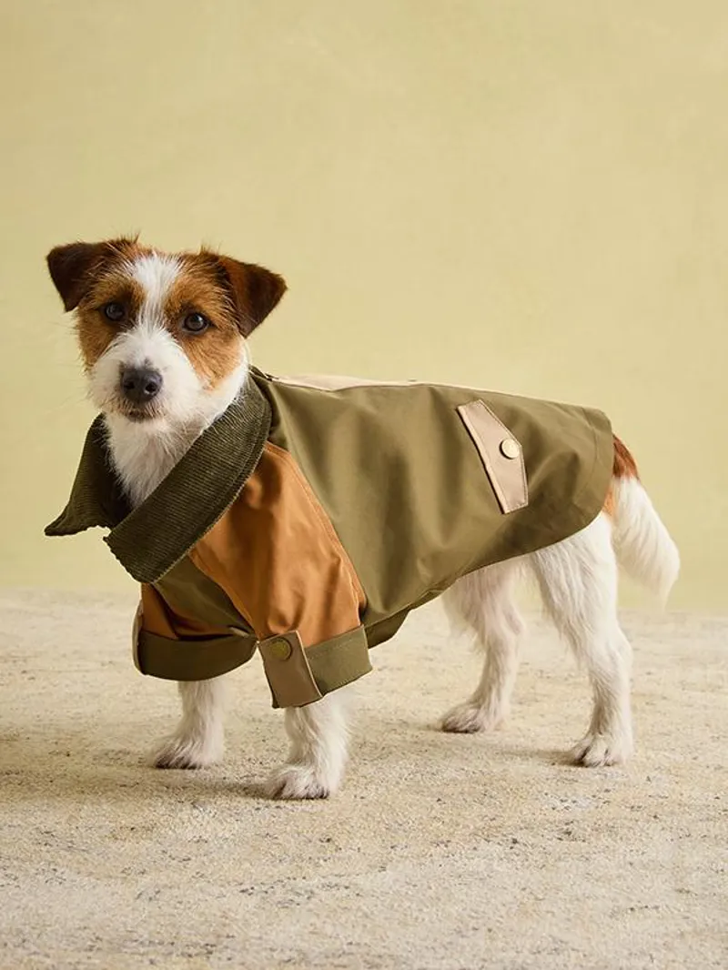 Joules Kennington Coat-3