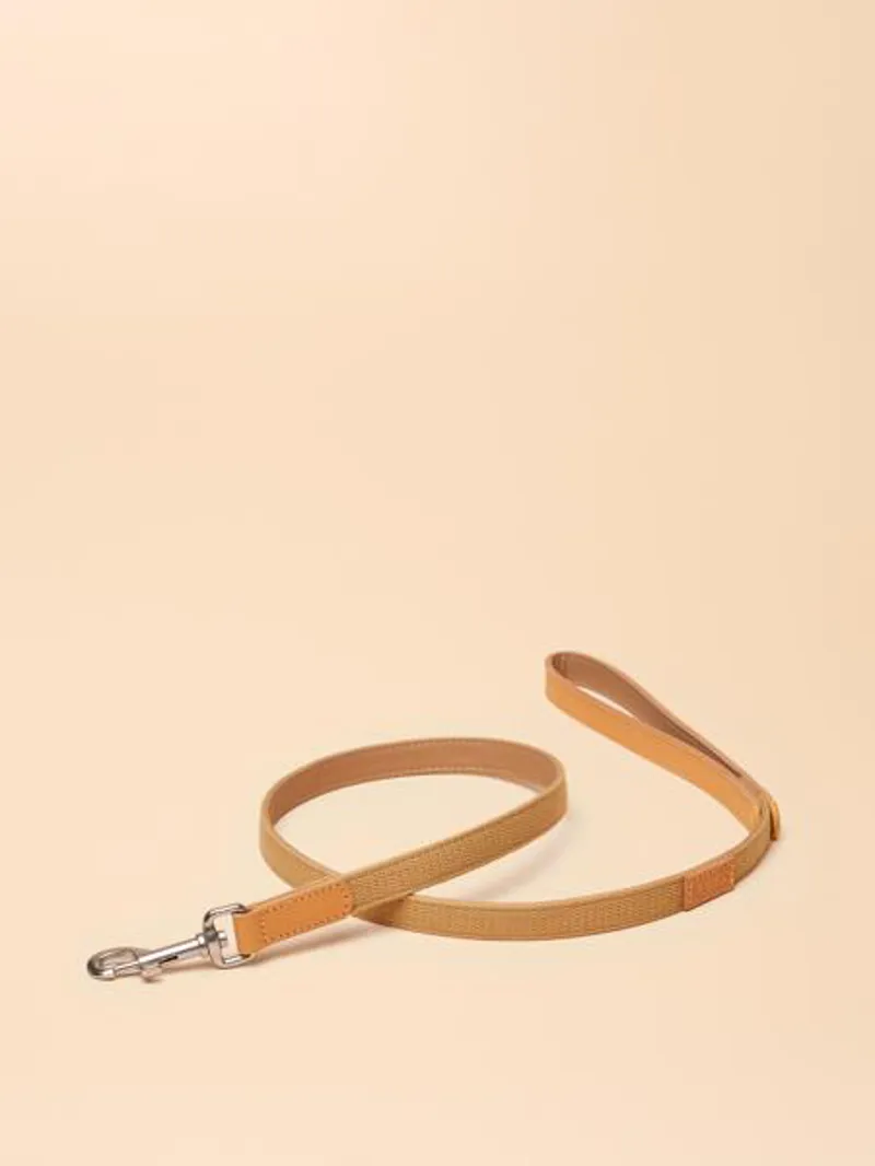 Joules Tan Lead