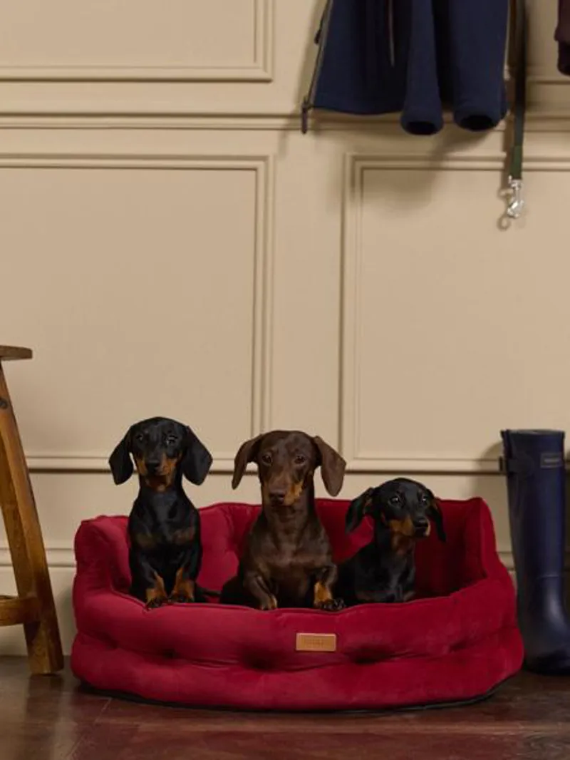 Joules Chesterfield Dog Bed Burgundy-3