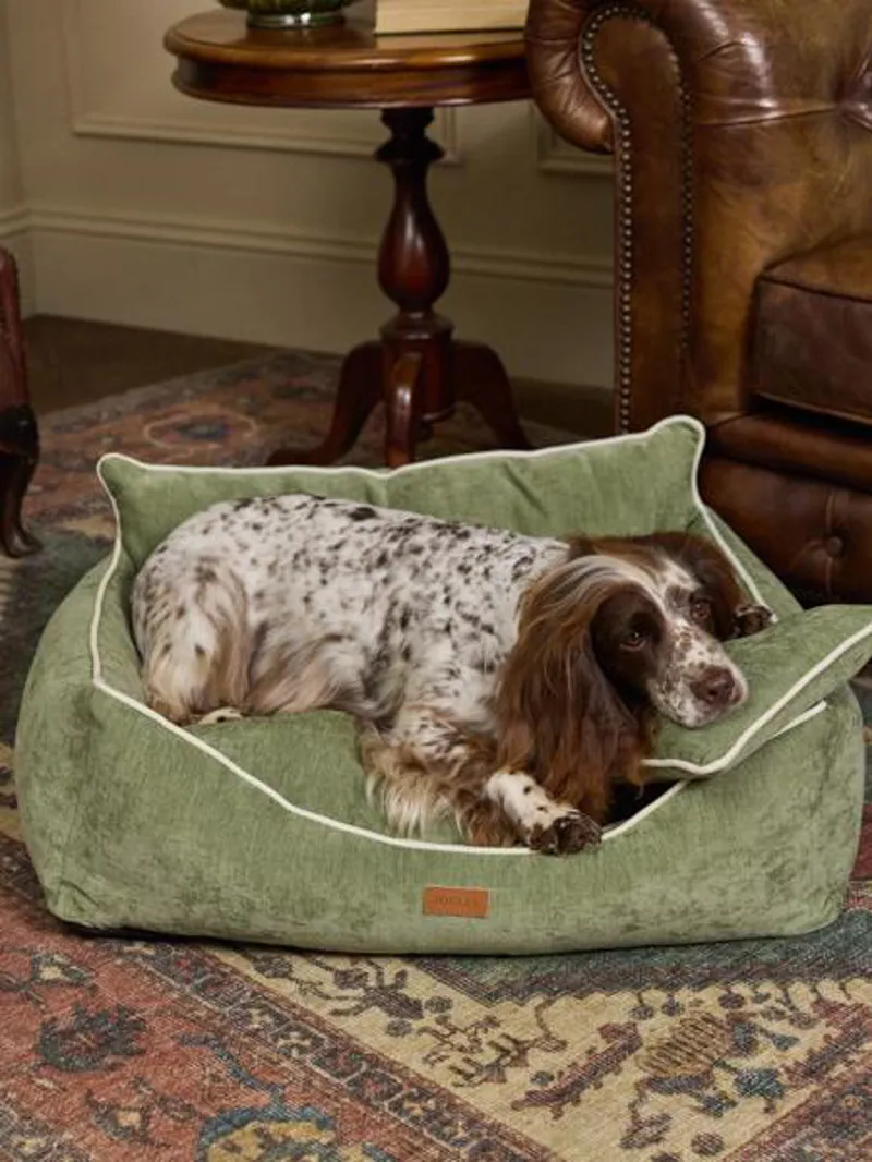 Joules Snuggler Dog Sofa-4