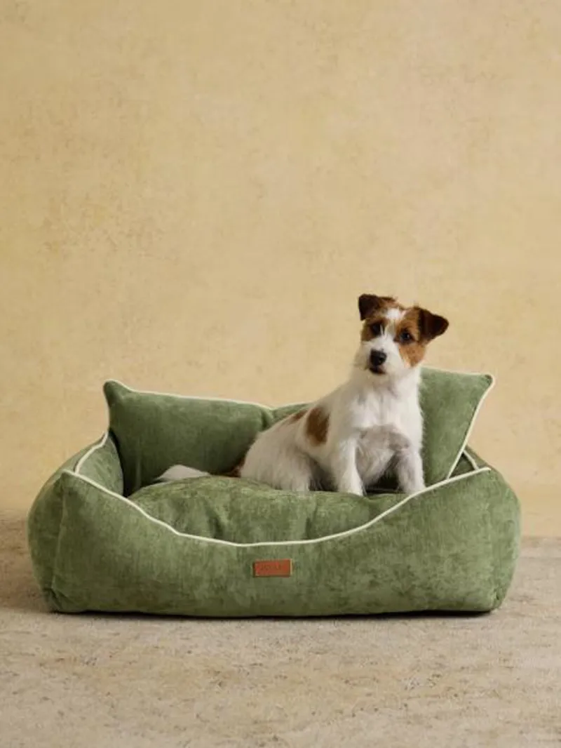 Joules Snuggler Dog Sofa-3