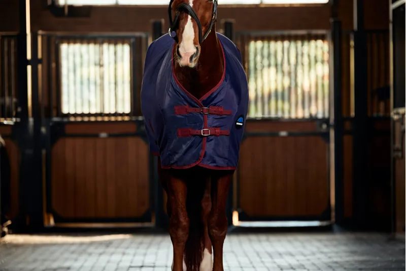 Weatherbeeta Anti-Static Fleece Cooler Standard Neck Navy/Burgundy-2