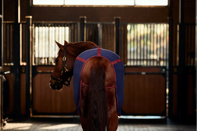 Weatherbeeta Anti-Static Fleece Cooler Standard Neck Navy/Burgundy-4