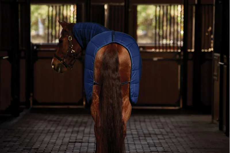 Weatherbeeta ComFiTech Under Rug Combo Neck 220g Navy-6