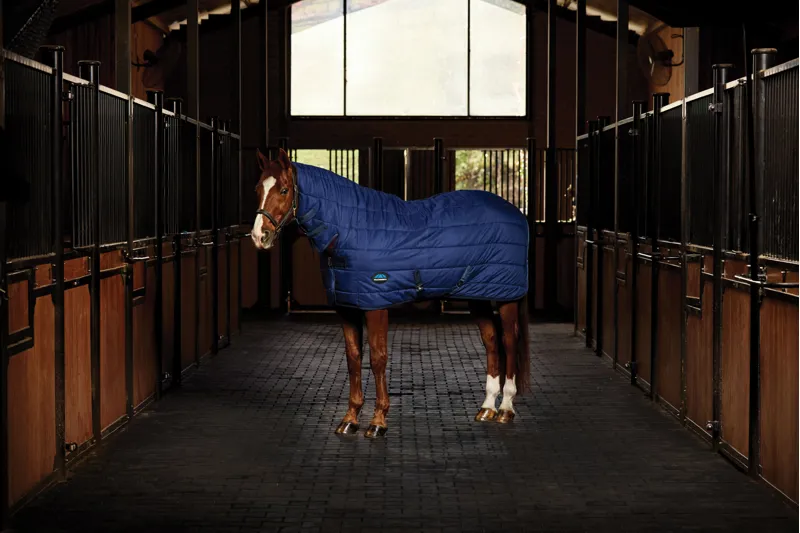 Weatherbeeta ComFiTech Under Rug Combo Neck 220g Navy-1