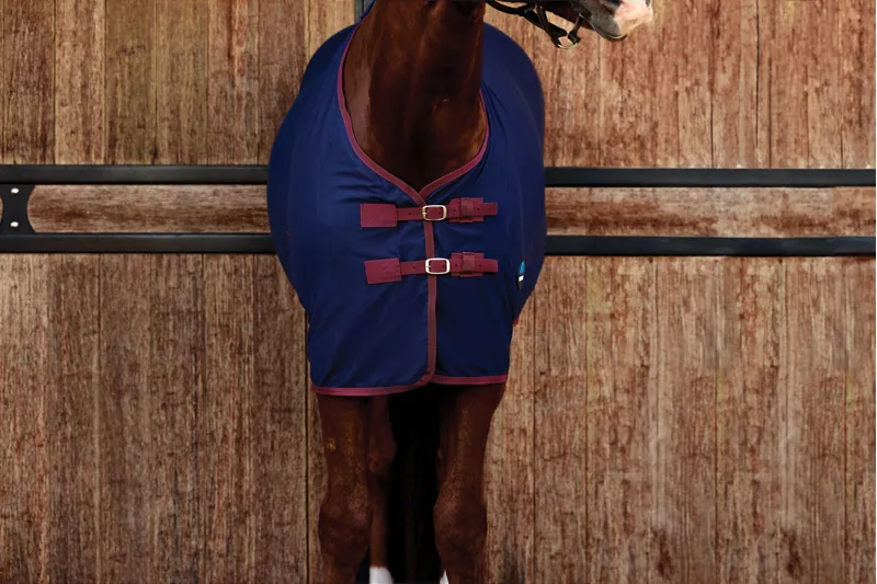 Weatherbeeta Cotton Sheet Standard Neck Navy/Burgundy-2