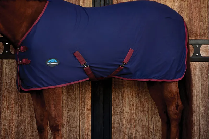 Weatherbeeta Cotton Sheet Standard Neck Navy/Burgundy-4