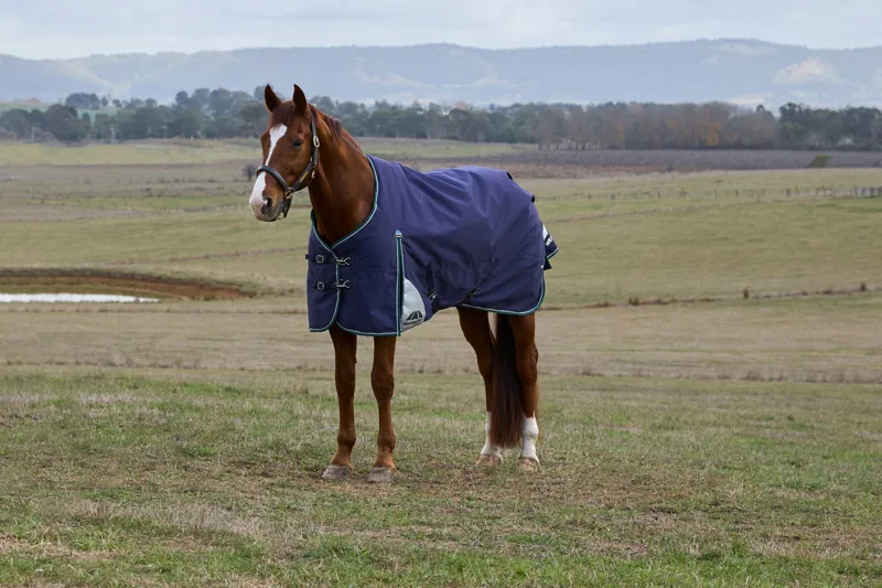 Weatherbeeta ComFiTech Plus Dynamic Turnout Rug Detach-A-Neck 100g Navy/Forest Green-5