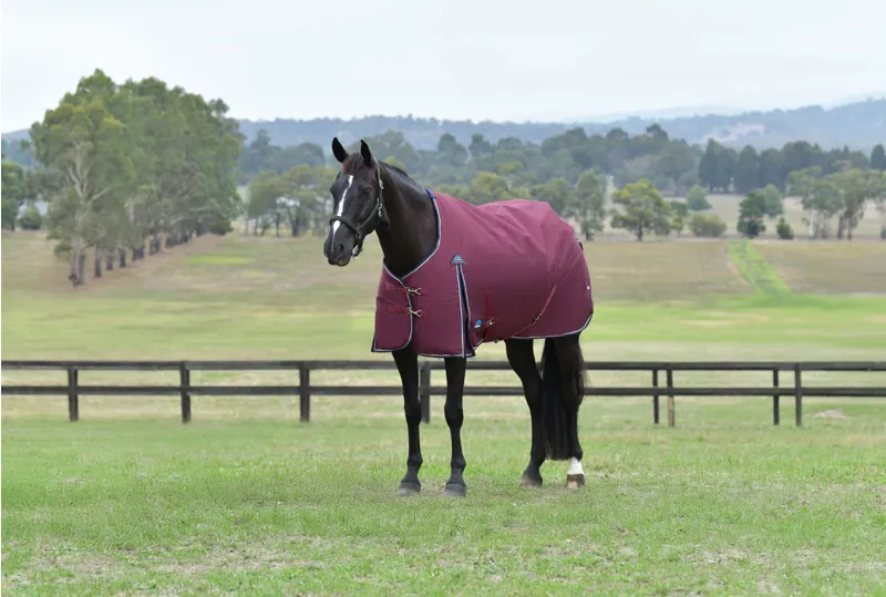 Weatherbeeta ComFiTech Essential Turnout Rug Detach-A-Neck 220g Burgundy/Navy-1