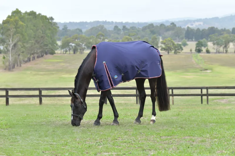 Weatherbeeta ComFiTech Essential Turnout Rug Detach-A-Neck 50g Navy/Burgundy-1