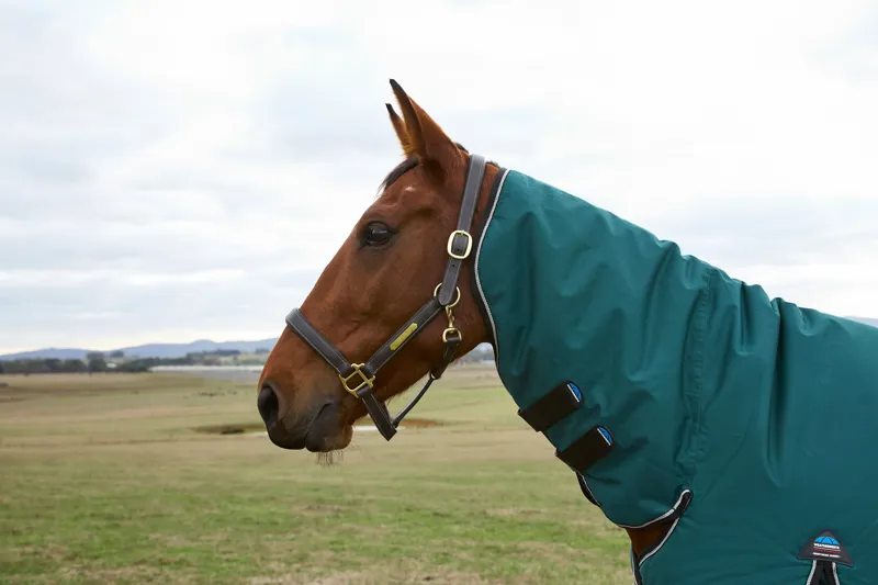 Weatherbeeta ComFiTech Classic Turnout Rug Combo Neck 360g Forest Green/Black-3