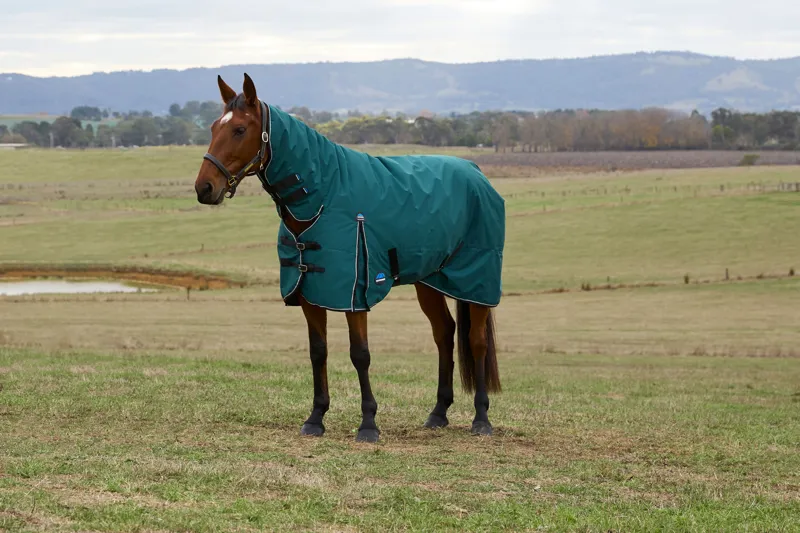 Weatherbeeta ComFiTech Classic Turnout Rug Combo Neck 220g Forest Green/Black-1