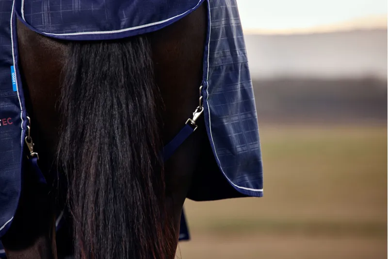 Weatherbeeta ComFiTech Prelim Turnout Rug Standard Neck 220g Navy Embossed Plaid-6