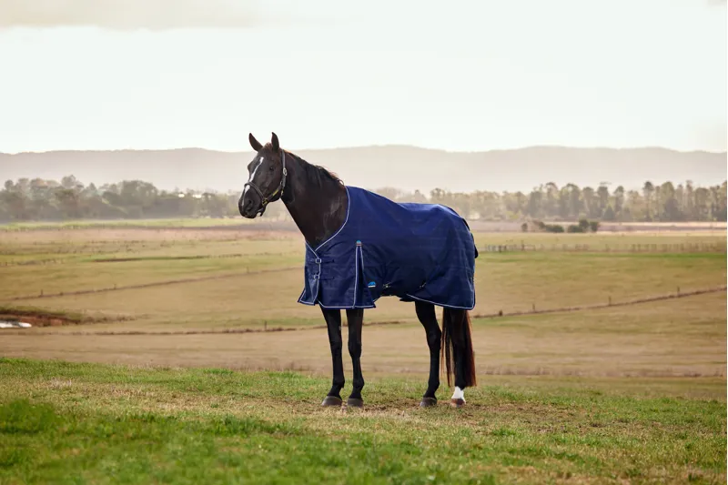 Weatherbeeta ComFiTech Prelim Turnout Rug Standard Neck 220g Navy Embossed Plaid-1