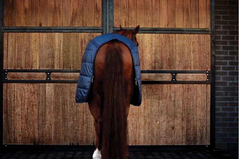 Weatherbeeta ComFiTech Liner 200g Navy-3